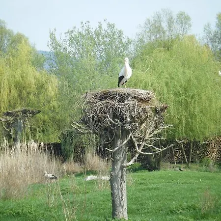 Du Ried Hessenheim