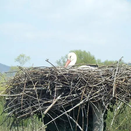 Dom wakacyjny Du Ried Hessenheim