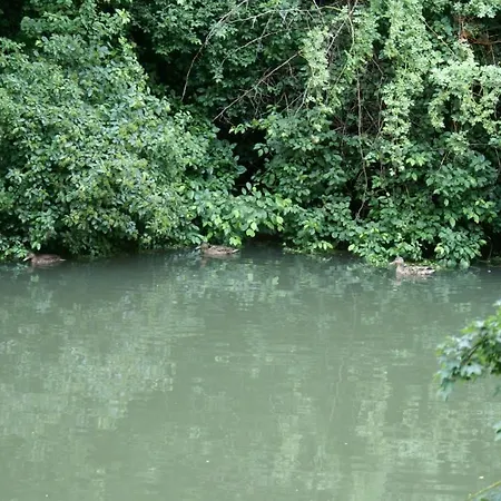 Dom wakacyjny Du Ried Hessenheim